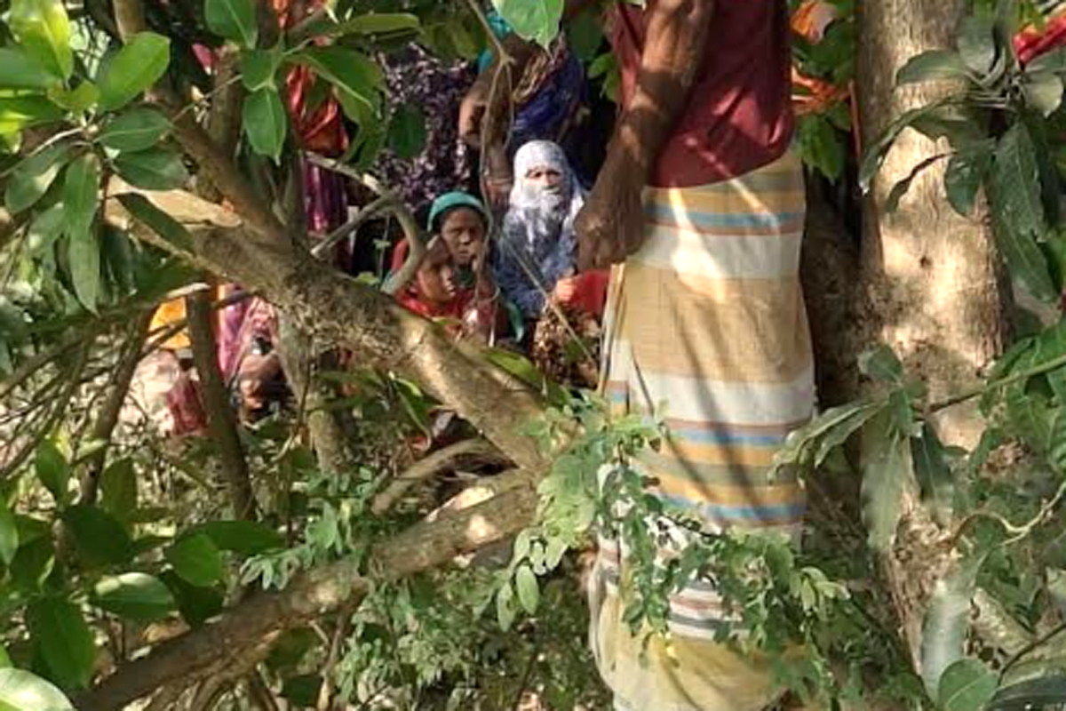 ঋণের বোঝা সইতে না পেরে সাঁথিয়ায় দিনমজুরের আত্মহত্যা