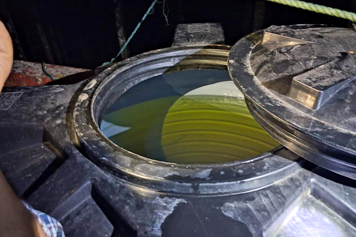 বাড়ির ছাদের পানির ট্যাংকে ৭৫০ লিটার ডিজেল, জরিমানা