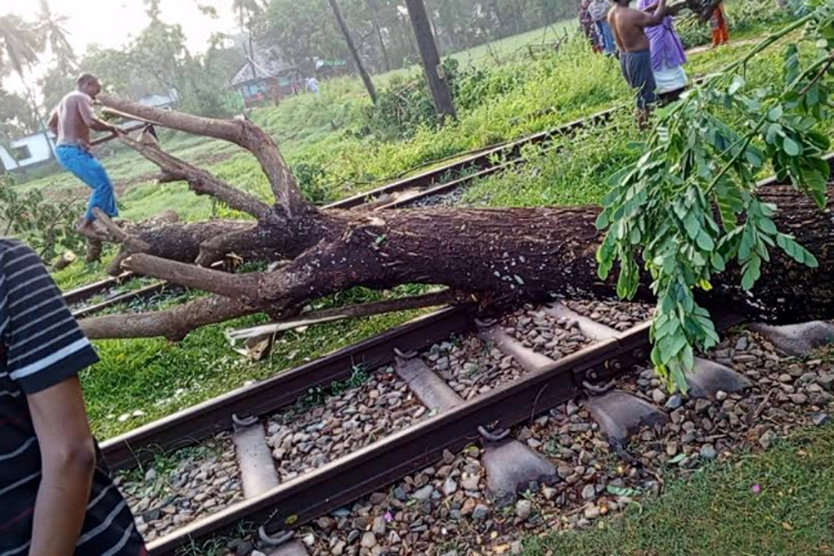 ঝড়ে রেললাইনে গাছ, ঢাকার সঙ্গে নোয়াখালীর ট্রেন চলাচলে বিঘ্ন
