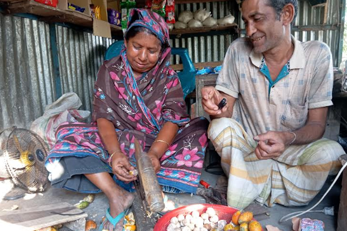 সুপারির বাকল ছাড়িয়ে সচ্ছলতা, বড়াইগ্রামের একটি গ্রামের গল্প