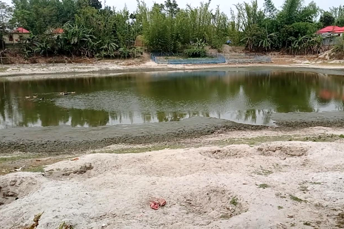 রাণীশংকৈলে পুকুর দখলের অভিযোগ বিএনপি নেতাদের বিরুদ্ধে