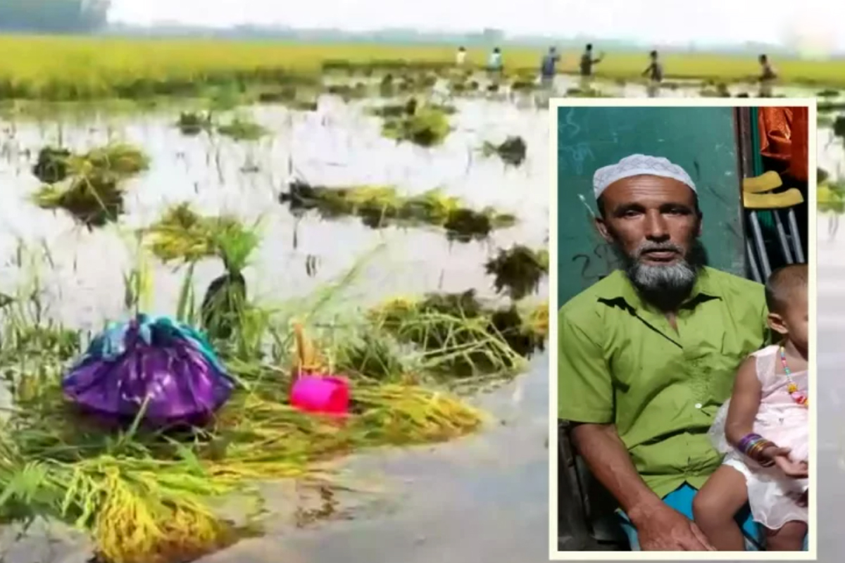 নাসিরনগরে তলিয়ে যাওয়া ফসলের শোকে কৃষকের মৃত্যু: হাওরজুড়ে মাতম