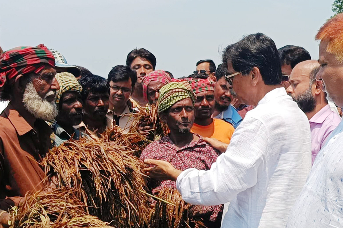 নাসিরনগরের ক্ষতিগ্রস্ত কৃষকদের পাশে সরকার: ‘হাওর রক্ষায় আসছে দীর্ঘমেয়াদি পরিকল্পনা’
