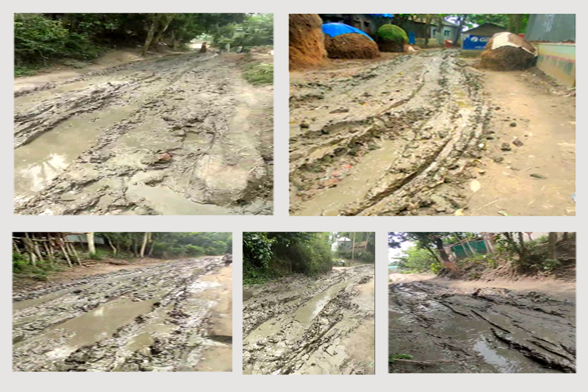 আতিয়ারা আর কত কাল মরবে?