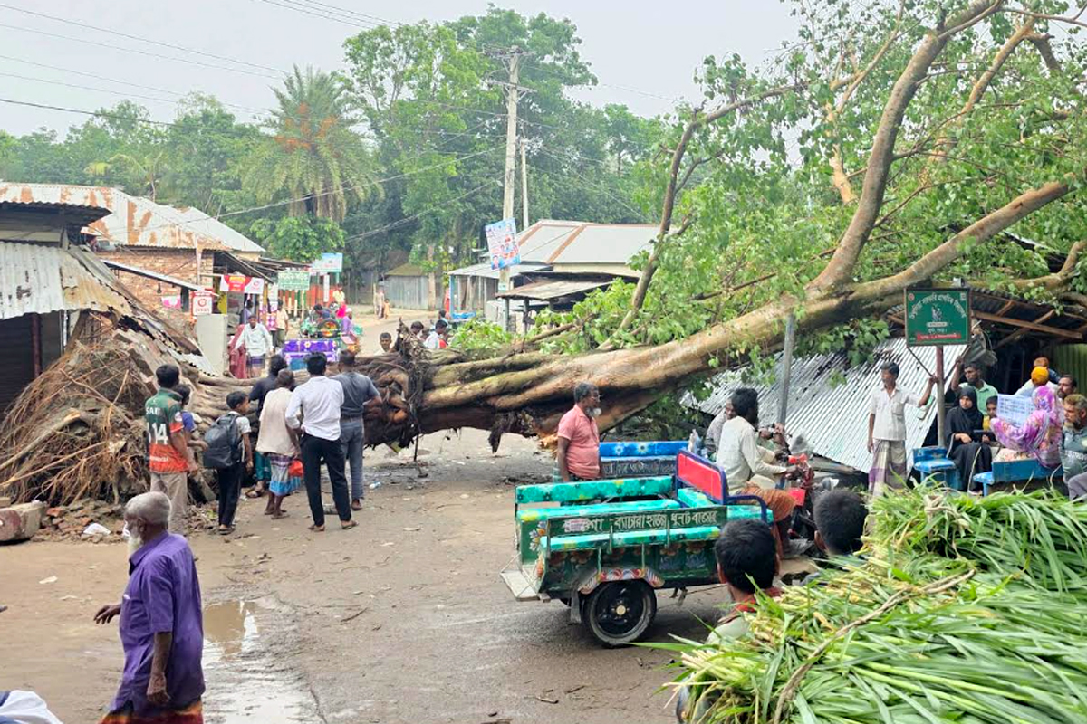 ধুনটে তীব্র ঝড়ে গাছ উপড়ে সড়ক বন্ধ, লণ্ডভণ্ড ৬টি ব্যবসাপ্রতিষ্ঠান