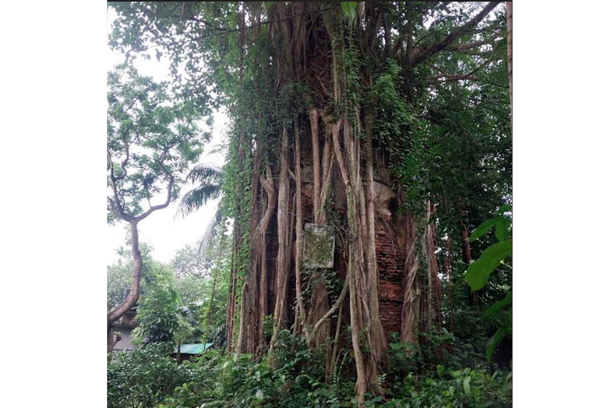 কালের গর্ভে বিলীন সাঁথিয়ার তলট জমিদারবাড়ি: অবহেলায় প্রাচীন নিত্যানন্দ মঠ ও ঐতিহাসিক ধ্বংসাবশেষ