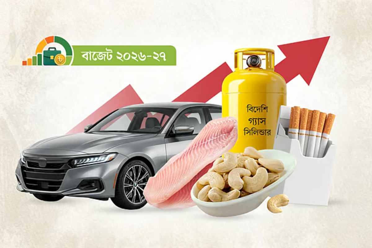 করের কাঁটাতারে কিছু পণ্যের দাম আকাশছোঁয়া