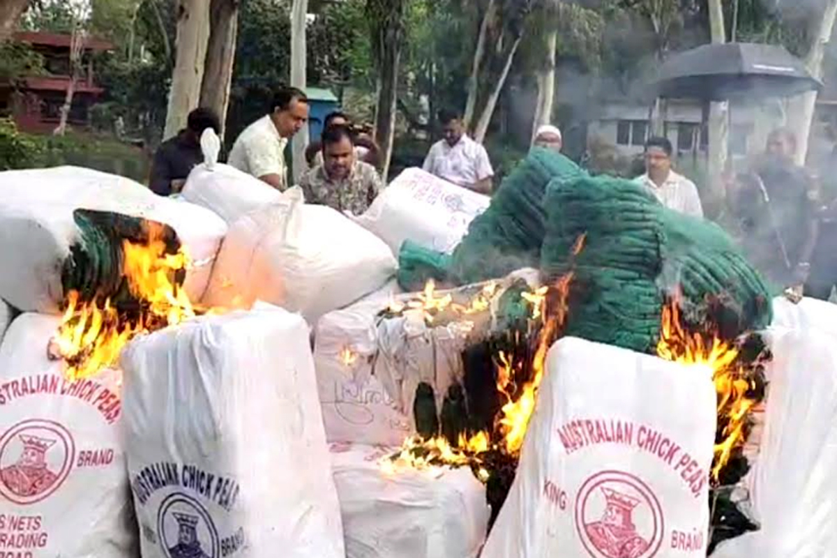 উল্লাপাড়ায় ২০ লাখ টাকার চায়না দুয়ারি জাল জব্দ পুড়িয়ে দিল প্রশাসন