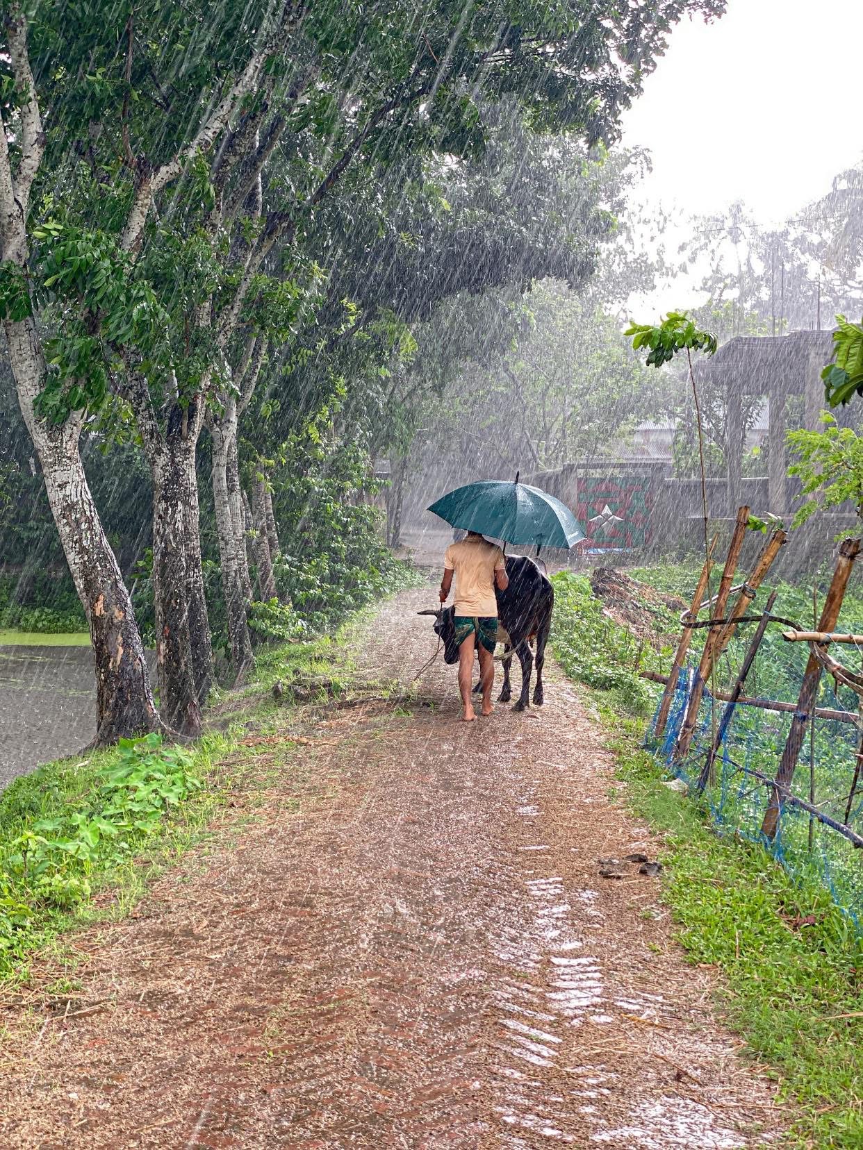 আজ পহেলা আষাঢ় 