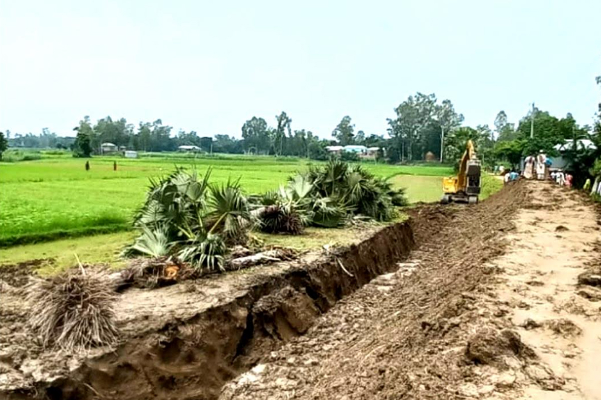 উল্লাপাড়ায় রাস্তার উন্নয়ন কাজের বলি হলো বজ্রপাত রোধক সরকারি তালগাছ