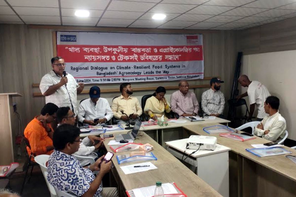 লবণাক্ততা ও জলবায়ু পরিবর্তনে ঝুঁকিতে সাতক্ষীরার কৃষি