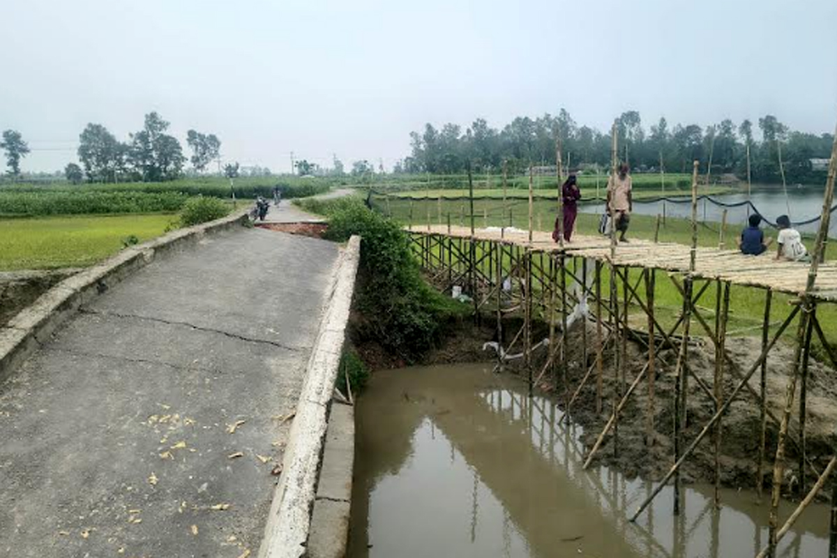 ধসে পড়েছে সেতু, বাঁশের সাঁকোয় চলাচল করছে ধুনটের হাজারো মানুষ