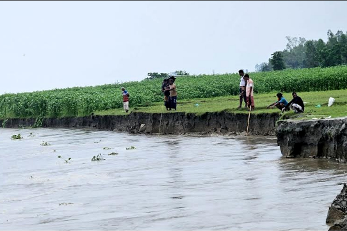 ধুনটে যমুনার গ্রাসে ফসলের মাঠ, জিও ব্যাগেও থামছে না ভাঙন