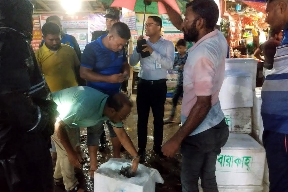 সাতক্ষীরায় জেলি পুশ করা ২৬০ কেজি চিংড়ি ধ্বংস