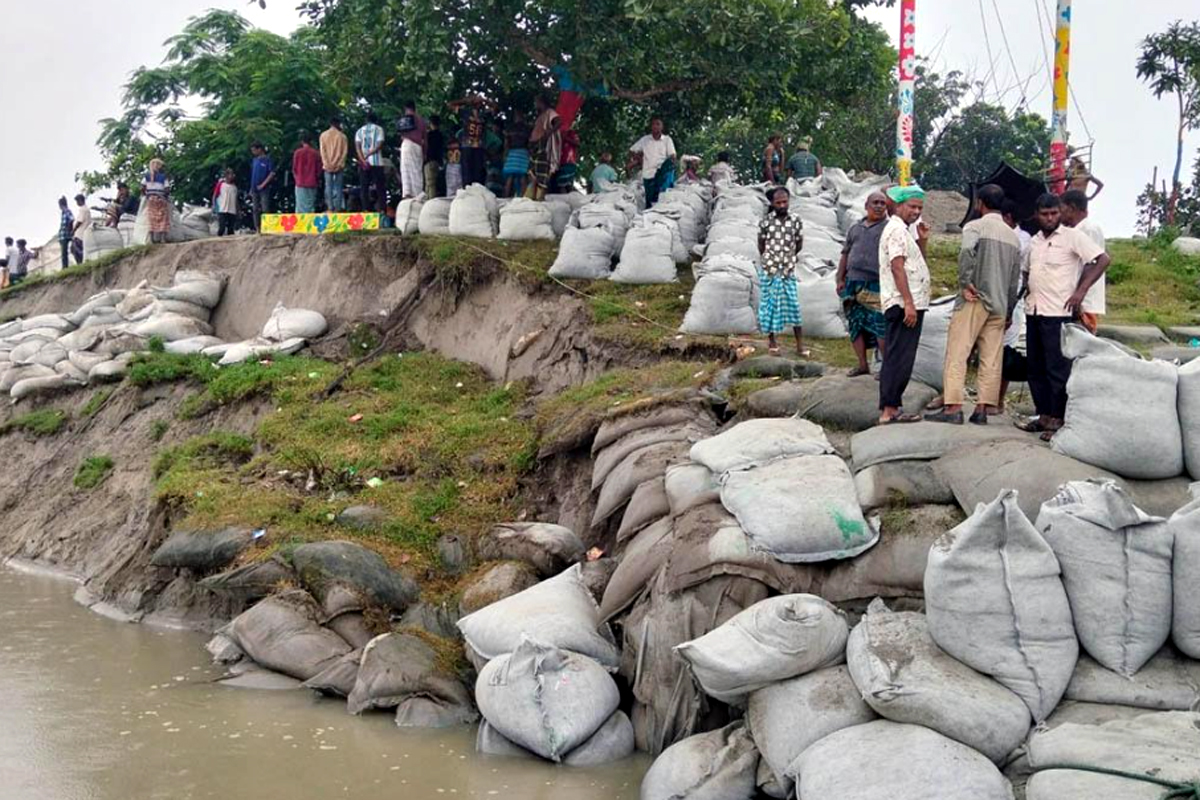 ধুনটে যমুনার ভাঙন আতঙ্কে নদীপাড়ের মানুষ