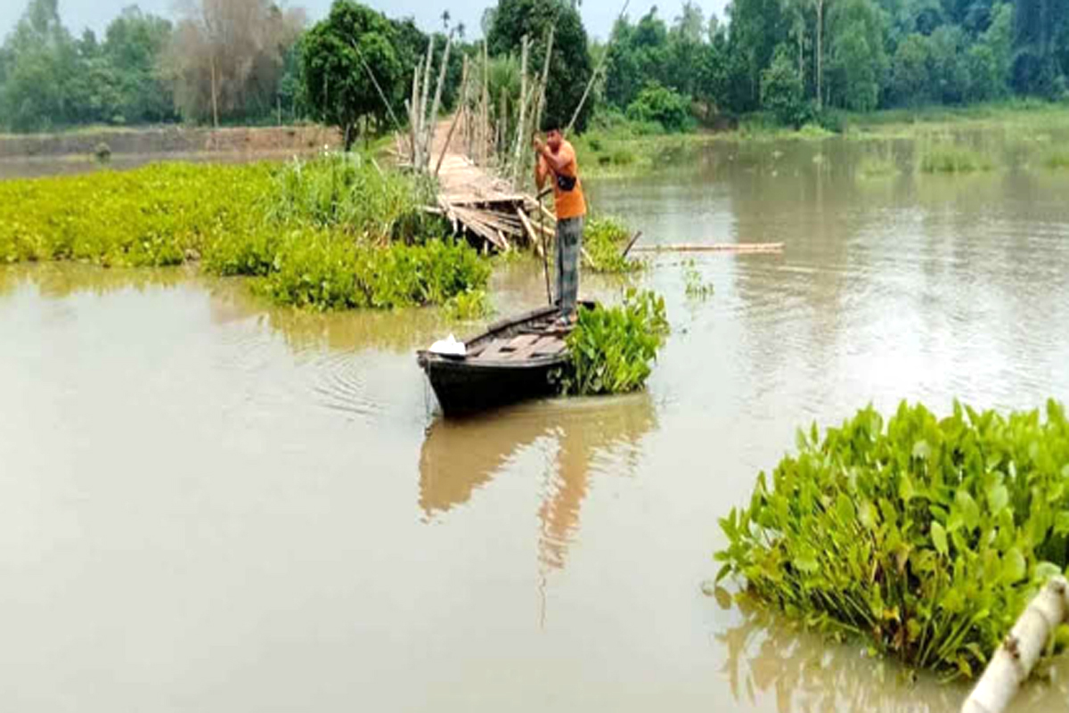 আশুড়ার বিলে বাঁশের সাঁকো ভেসে গেছে, দুর্ভোগে ১৫ গ্রামের মানুষ