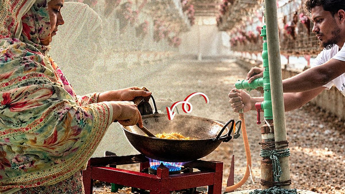 মুরগির বিষ্ঠা থেকে রান্নার গ্যাস, মাসে খরচ মাত্র ১২০০ টাকা