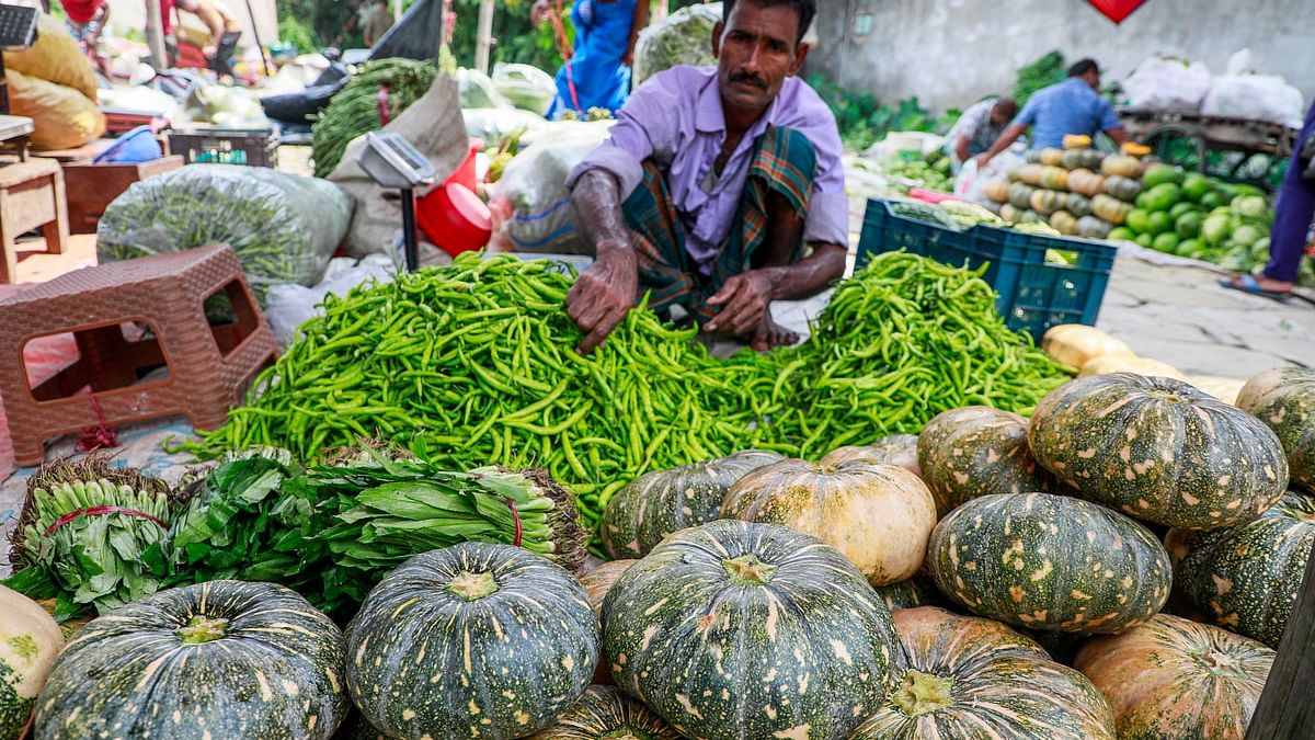 ইউসুফের নির্জন হাট, উৎসবে পশুর ঢল