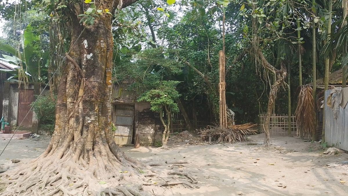 গঙ্গাচড়ায় ভুয়া পূজামণ্ডপ দেখিয়ে জিআর চাল উত্তোলন
