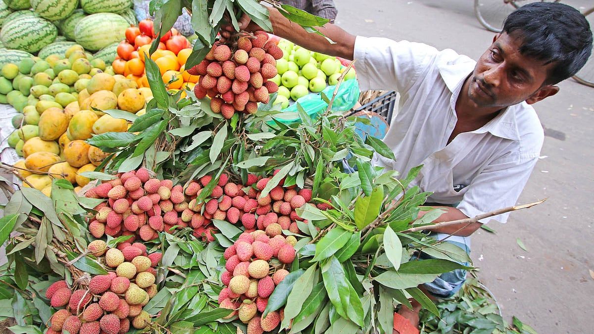বিদেশে কোনো ফল নেওয়া যায় না কেন