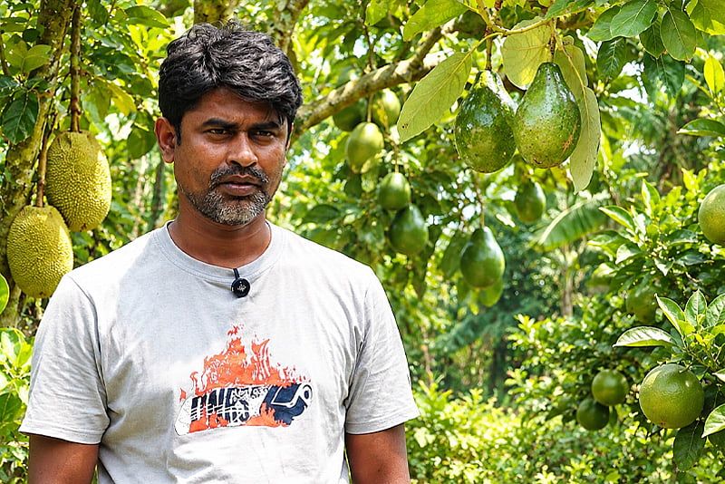১২০ বিঘার ফলবাগান গড়েছেন চুয়াডাঙ্গার সাদ্দাম, বছরে আয় ২ কোটি টাকা