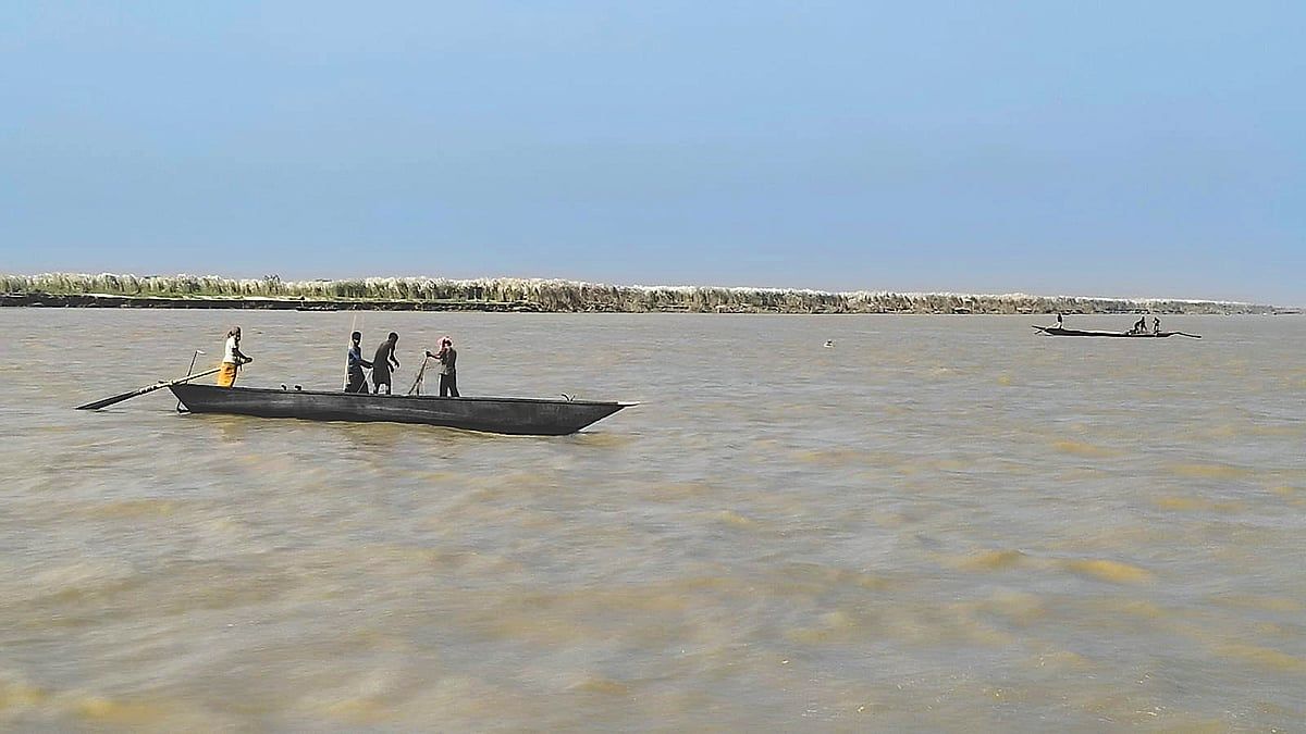 ইলিশ রক্ষায় নিষেধাজ্ঞা, পদ্মায় অন্য চিত্র