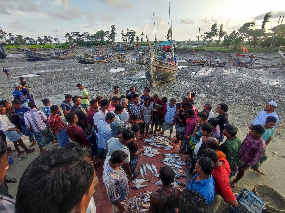 নিষেধাজ্ঞার মধ্যেও ধরা হচ্ছে ইলিশ, সরকারি সহায়তা পাননি কোনো জেলে