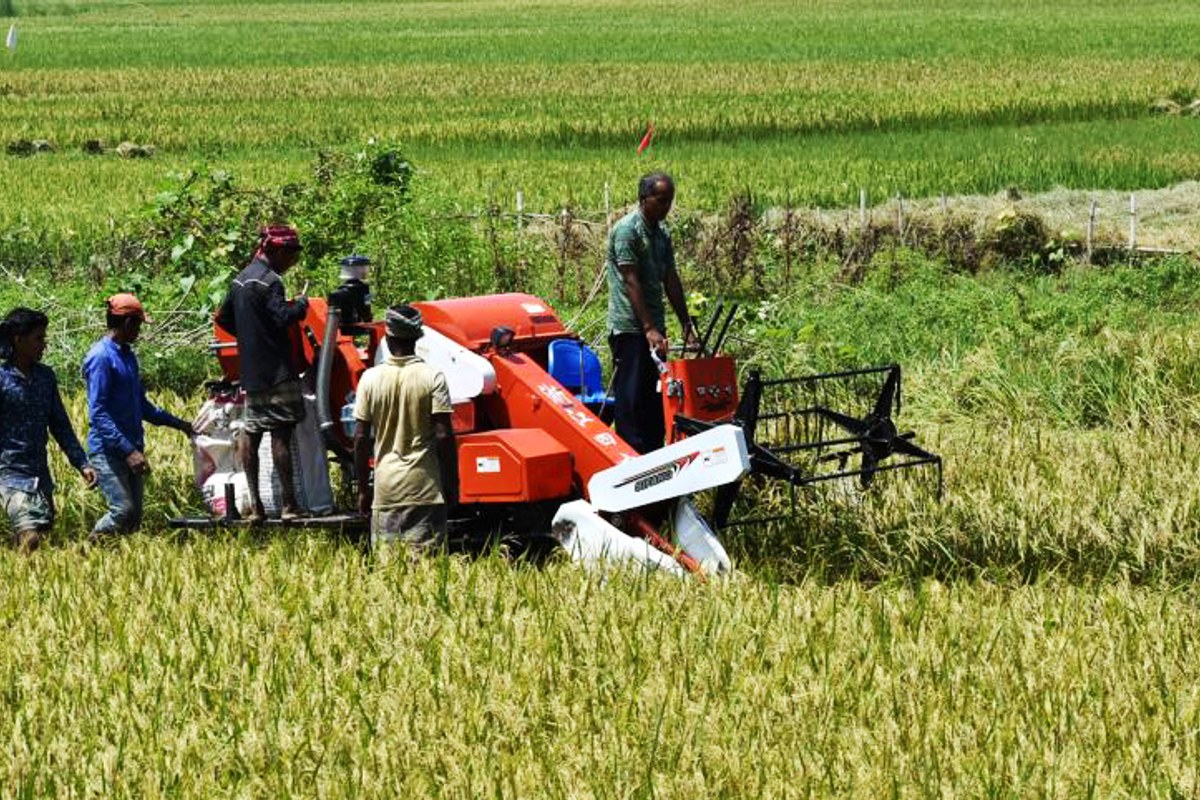 কৃষি যান্ত্রিকীকরণ প্রকল্প: এবার ভুয়া নিয়োগ দিয়ে টাকা হাতানোর অভিযোগ