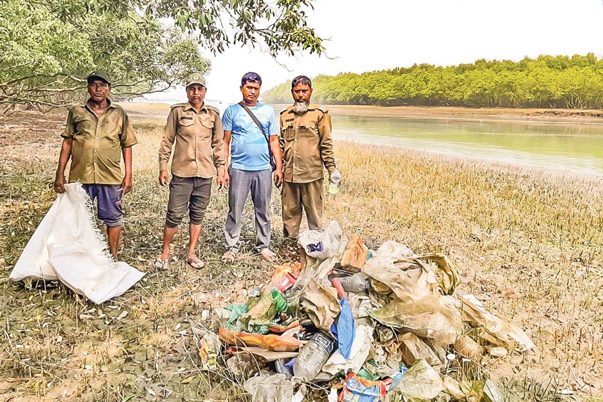 ঝুঁকিতে বনের পরিবেশ: প্লাস্টিকের চাপে সুন্দরবন