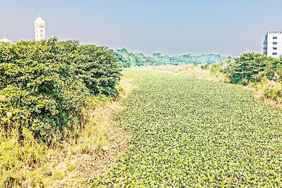 নাব্য সংকটে হারিয়ে যাচ্ছে আড়িয়াল খাঁ-ময়নাকাটা