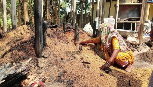 আগুনে পুড়লো কৃষকের স্বপ্ন
