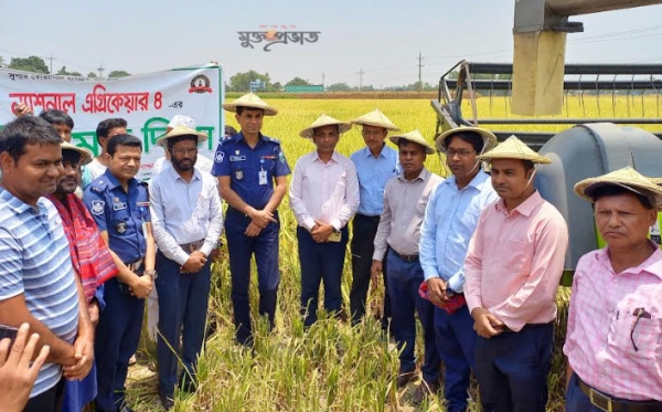 সিংড়ায় সমলয় পদ্ধতিতে বোরো ধান চাষ, উচ্চ ফলনে আশাবাদী