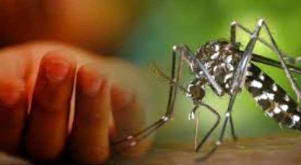 হাকিমপুরে ডেঙ্গু রোগী শনাক্ত 