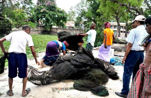 উল্লাপাড়ায় ৩ লাখ টাকার অবৈধ জাল উদ্ধার