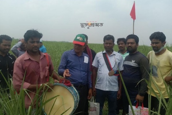 আদালতের রায়ে ১২ বছর জমি ফেরত