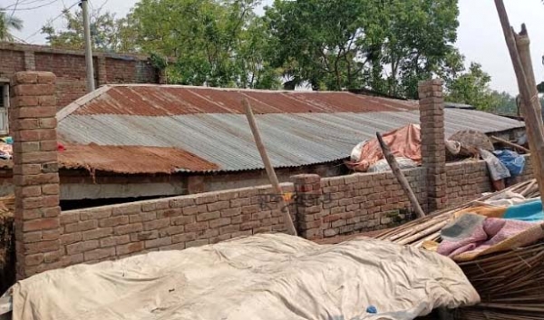 সাঁথিয়ায় কাল বৈশাখী ঝড়ে  উড়ে গেলো ডেইরি ফার্মের ঘর