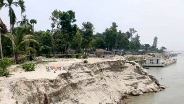 নদী ভাঙ্গনে দিশাহারা যমুনাপাড়ের মানুষ 