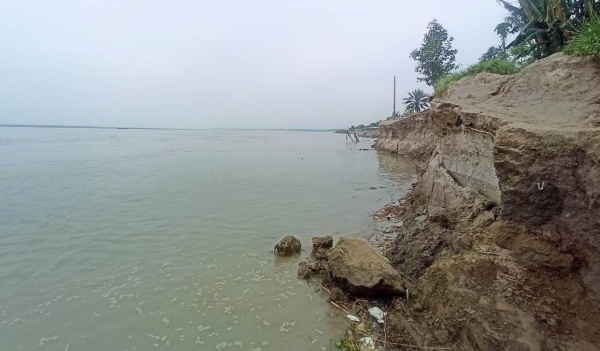 বর্ষার মৌসুমের আগেই যমুনায় ভাঙন, আতঙ্কে চরাঞ্চলের মানুষ