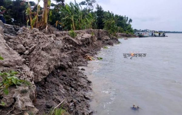 মির্জাগঞ্জে বর্ষা না আসতেই নদী ভাঙ্গন শুরু; আতংকে নদী তীরের মানুষ
