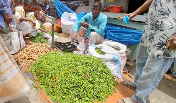 গুরুদাসপুরে কাঁচা মরিচের কেজি ৬০০ টাকা