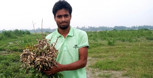 বাদামের ভালো ফলনে  উচ্ছ্বসিত কৃষক