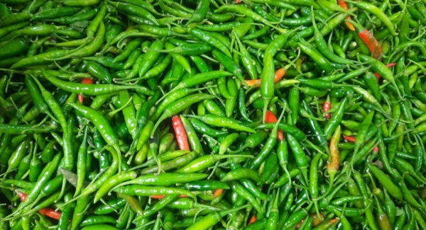 দেশে মরিচের দাম বাড়ায় ভারত থেকে আমদানি শুরু