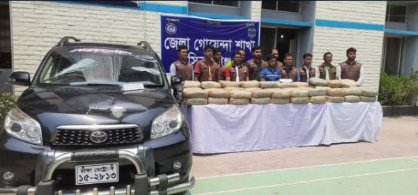 সিরাজগঞ্জের ১৪০ কেজি গাঁজাসহ ১ মাদক কারবারীকে আটক