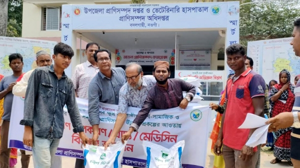 বদলগাছীতে ১৫১ সুফলভোগীর মধ্যে ভেড়ার খাদ‍্য বিতরণ