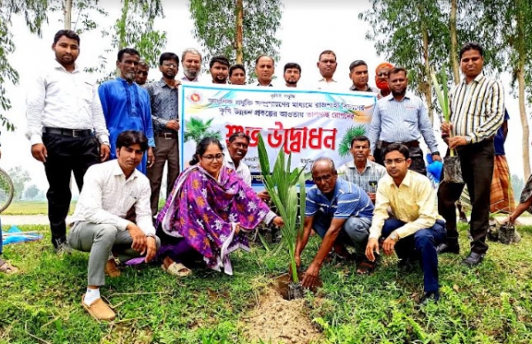 উল্লাপাড়ায় ভূমি ক্ষয় ও বজ্রপাত নিরোধে তালগাছ রোপন