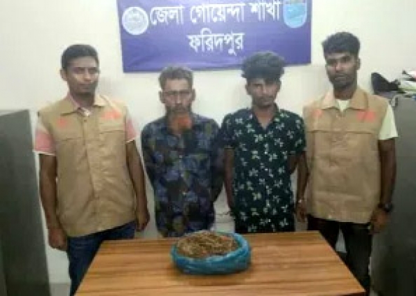 ফরিদপুরে সালথায় গাঁজাসহ দুই মাদক ব্যবসায়ীকে আটক করেছে ডিবি পুলিশ 