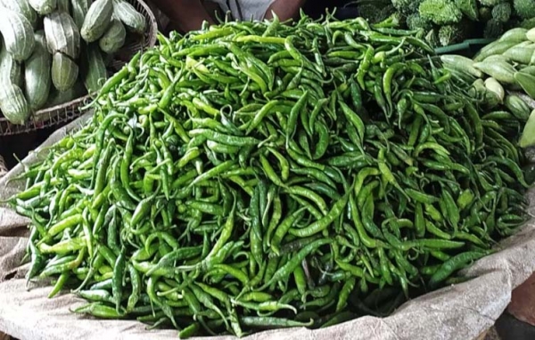 কাঁচা মরিচের কেজি ১০০০ টাকা